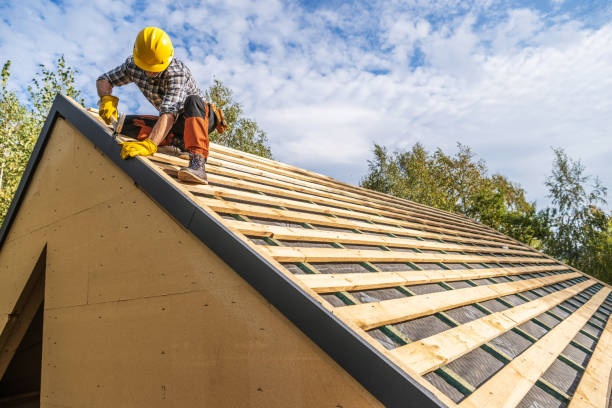 Professional Roofing Contractor in Cotati, CA