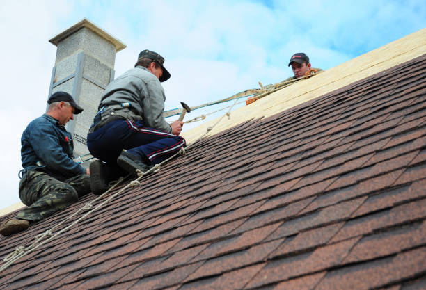 Best Local Roofing Companies  in Cotati, CA
